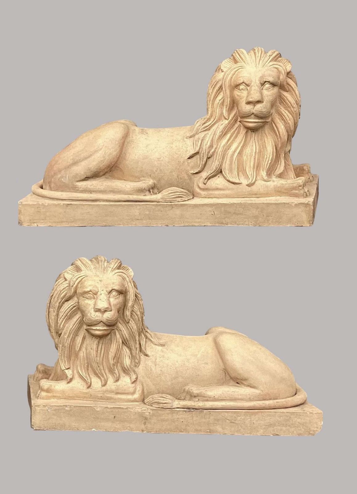 Spectacular C19th Very Large Pair Of Buff Terracotta Lions