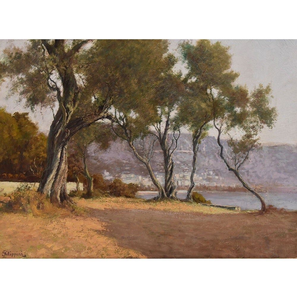 Antique Landscape Painting, Emilio Filippini, Seascape And Olive Trees, XX Century. (Qp697) photo for sale