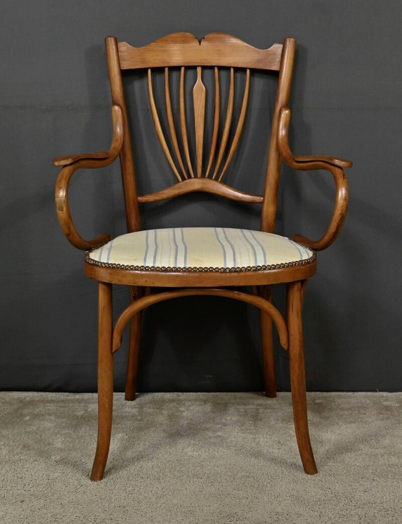 Curved Beech Armchair, Maison Fischel, Art Nouveau – Early 20th Century photo vintage