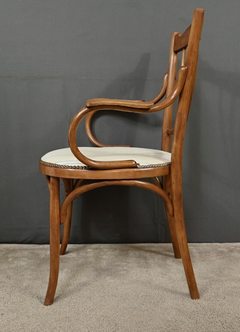 Furniture Curved Beech Armchair, Maison Fischel, Art Nouveau – Early 20th Century photo