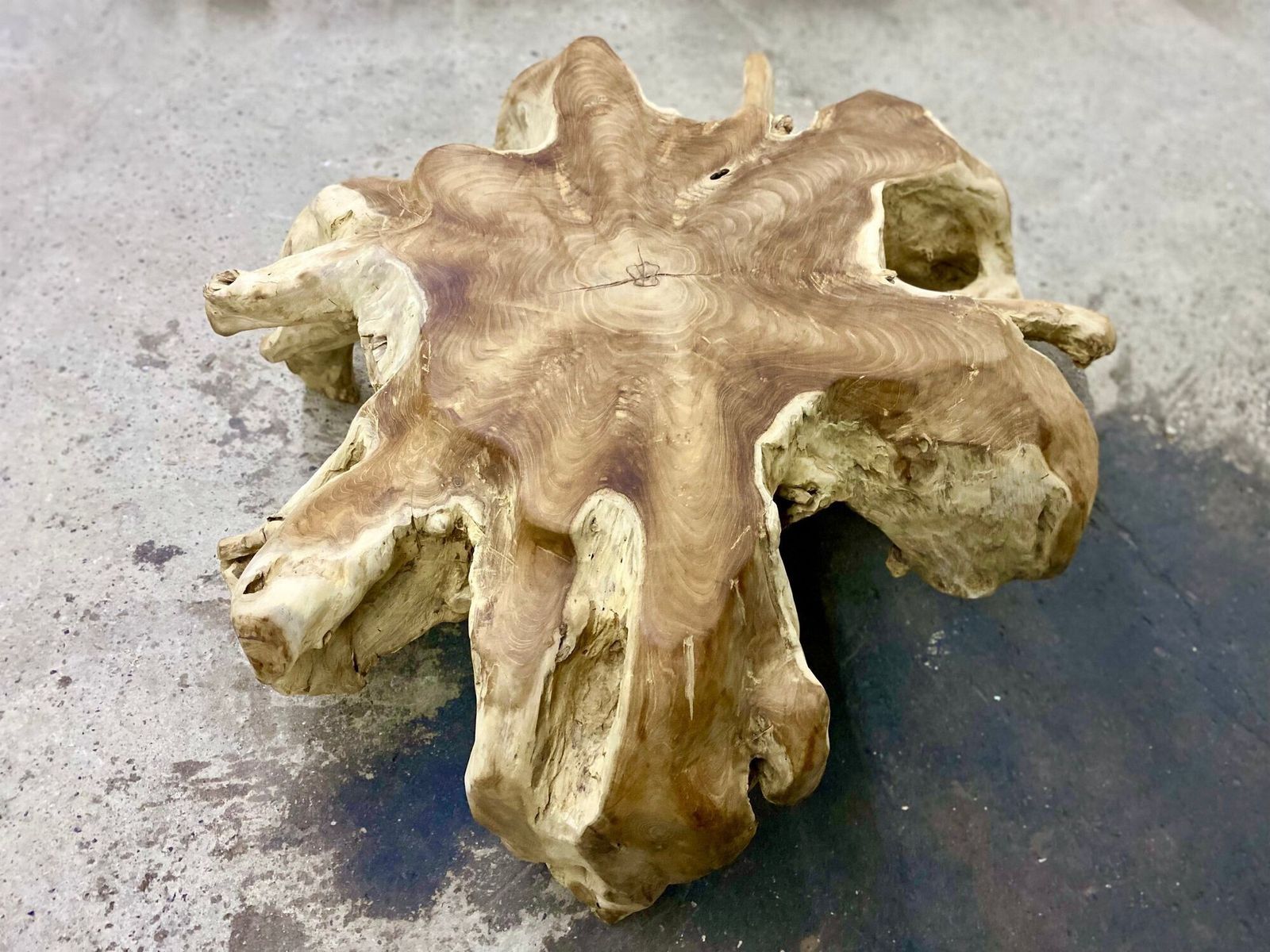 Contemporary Wooden Teak Root Coffee Table, Organic Modern, Idn 2024 photo vinterior