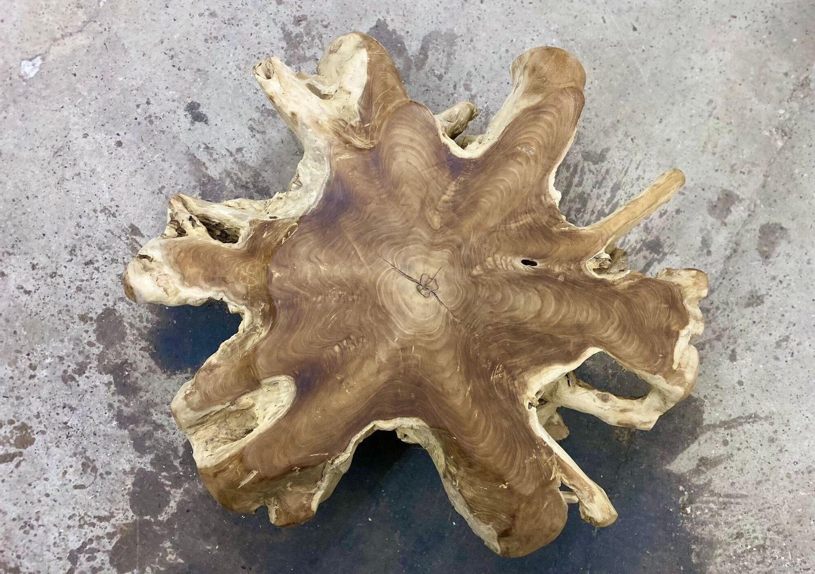 Contemporary Wooden Teak Root Coffee Table, Organic Modern, Idn 2024 photo vintage