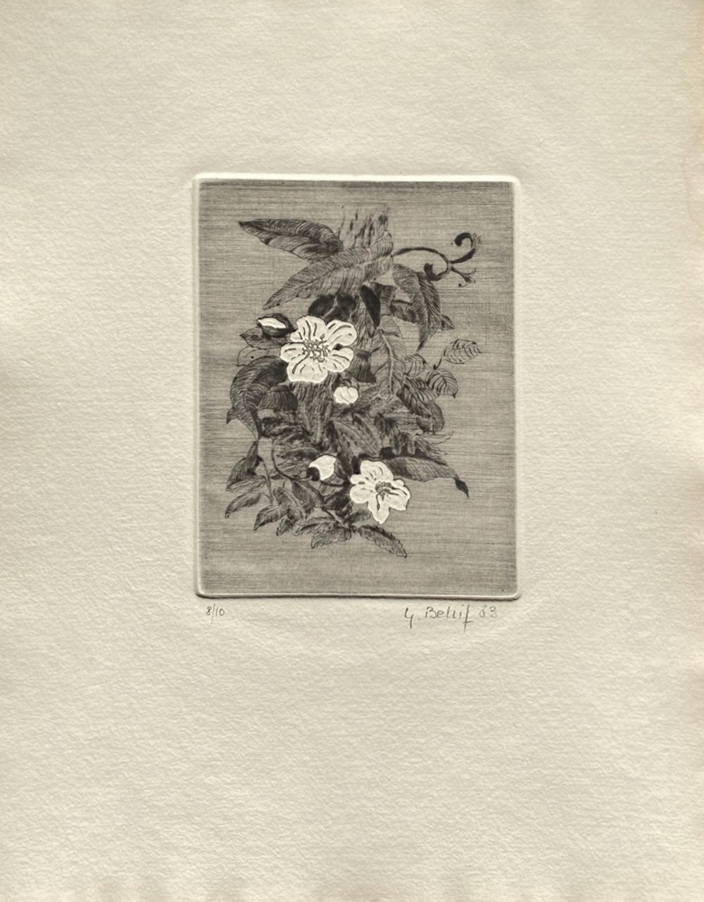 Yannick Ballif Original Engraving Signed Etching 1983 Flowers Flowers