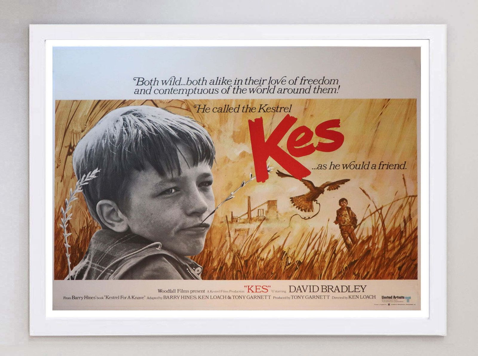 Kes   Original Vintage Poster, 1960s photo for sale