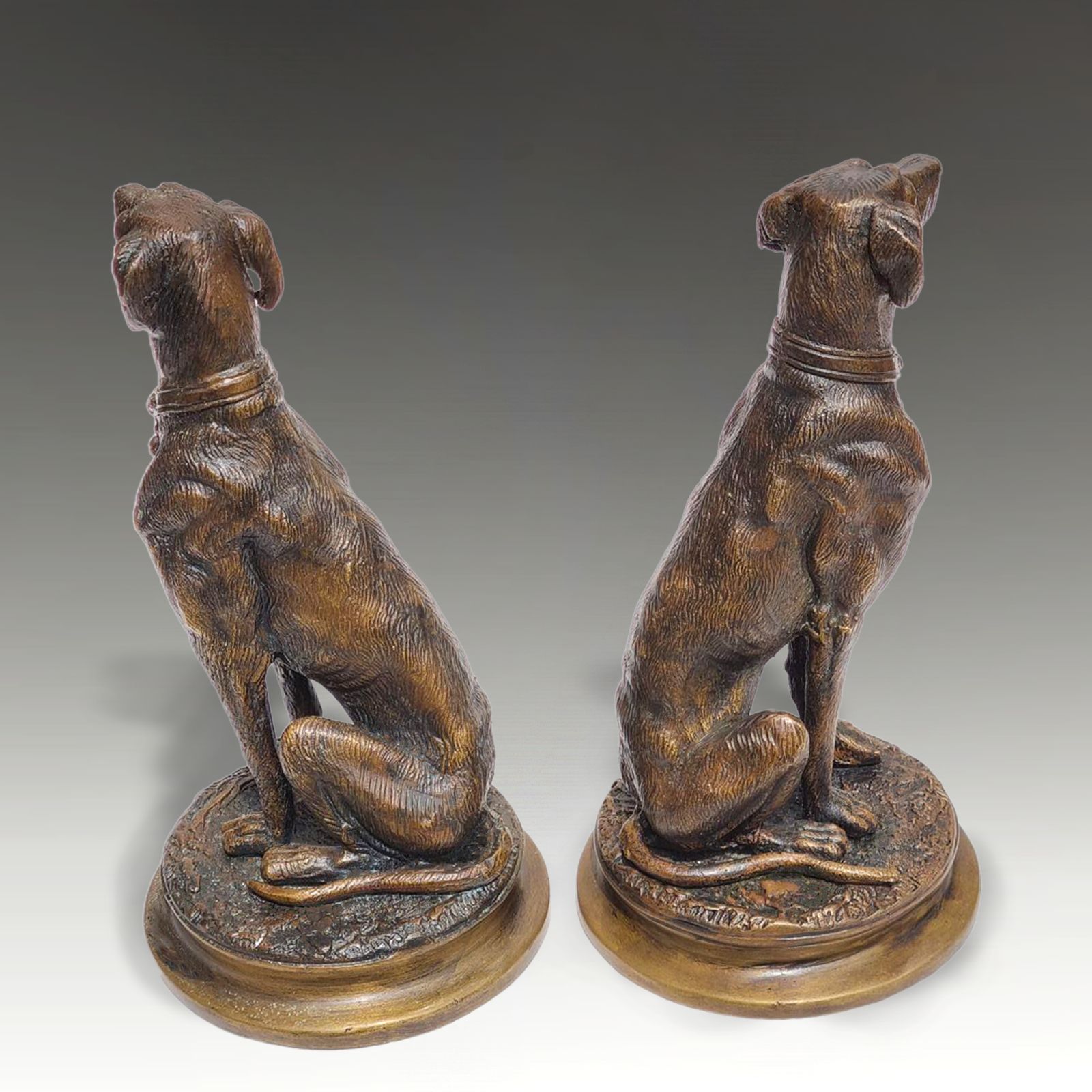 Belle Epoque Pair Of Cast Bronze Greyhound /Lurcher  Lovely Quality 18cm H photo for sale