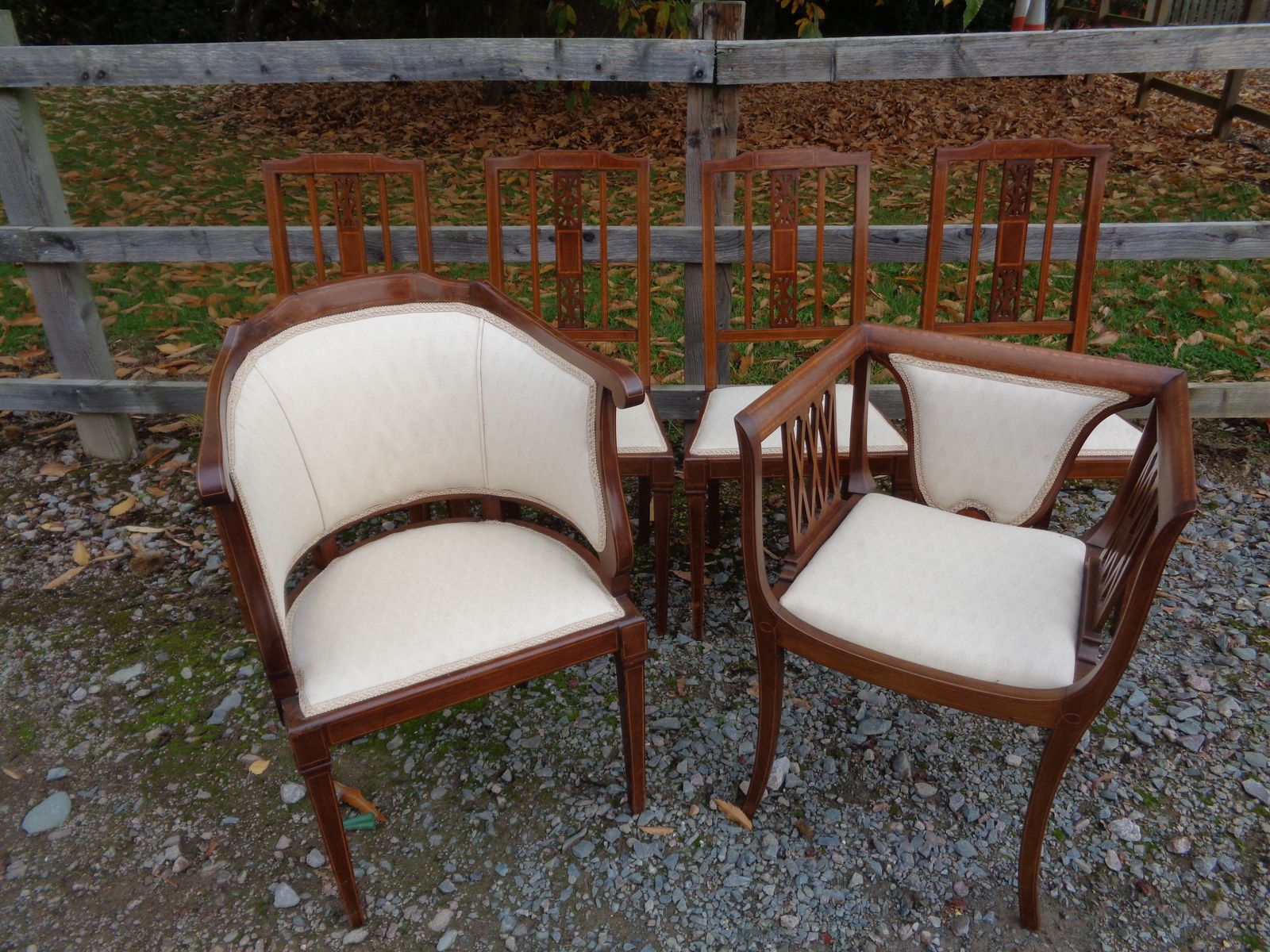 6 Edwardian Mahogany Salon Chairs   Gentleman's & Ladies + 4