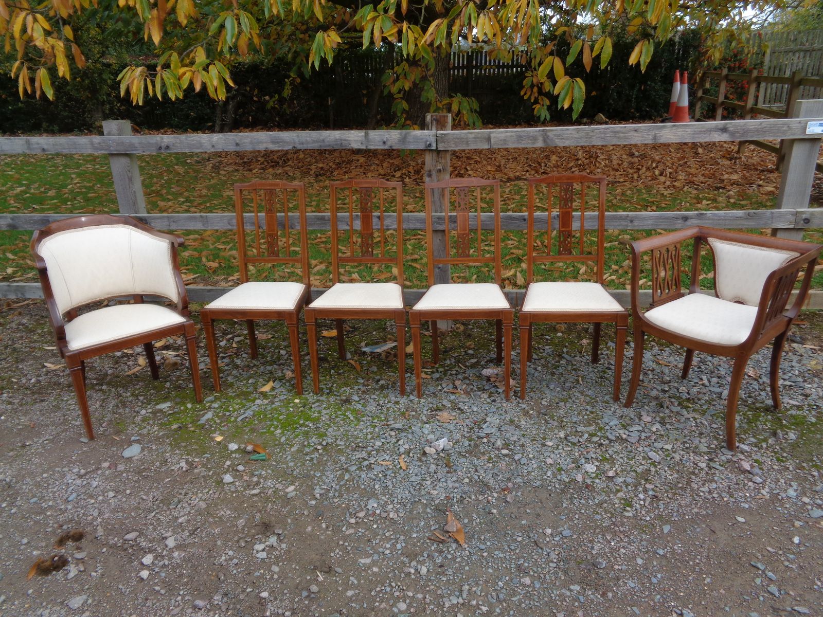 6 Edwardian Mahogany Salon Chairs   Gentleman's & Ladies + 4 photo for sale