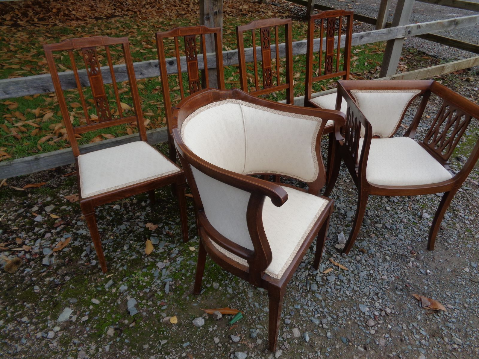 6 Edwardian Mahogany Salon Chairs   Gentleman's & Ladies + 4 photo 345.0