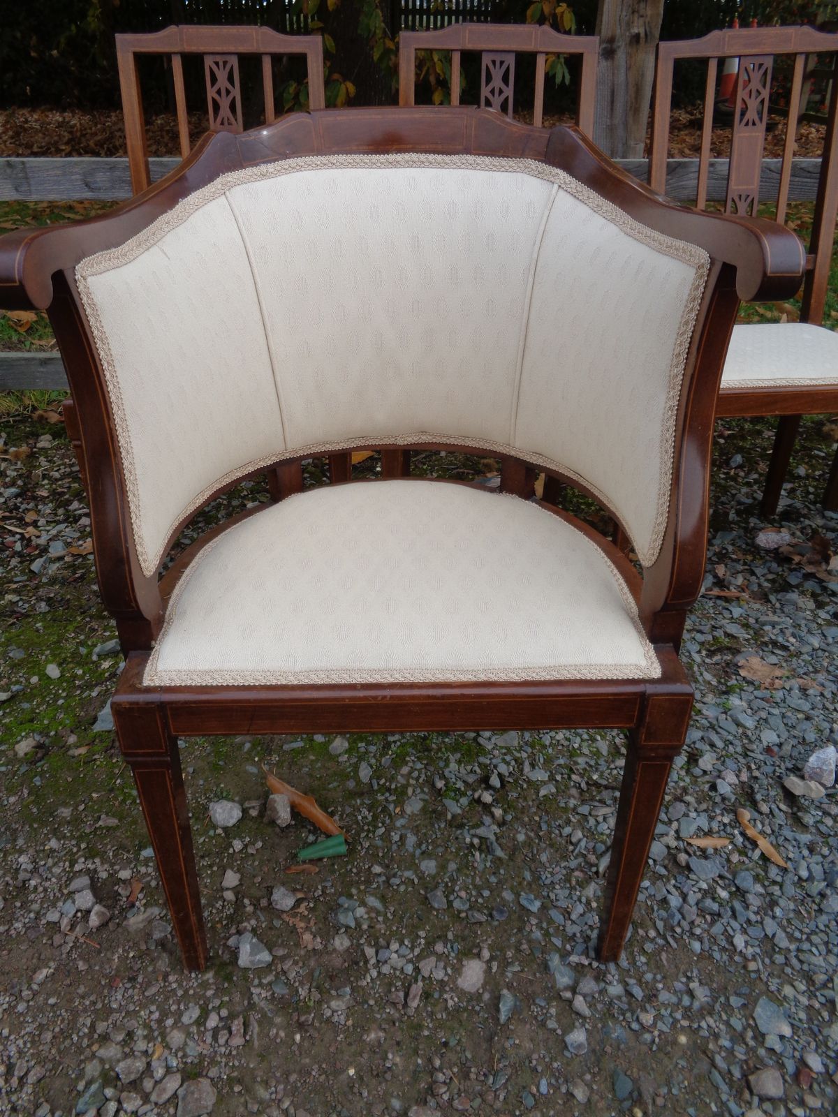 6 Edwardian Mahogany Salon Chairs   Gentleman's & Ladies + 4 photo vinterior