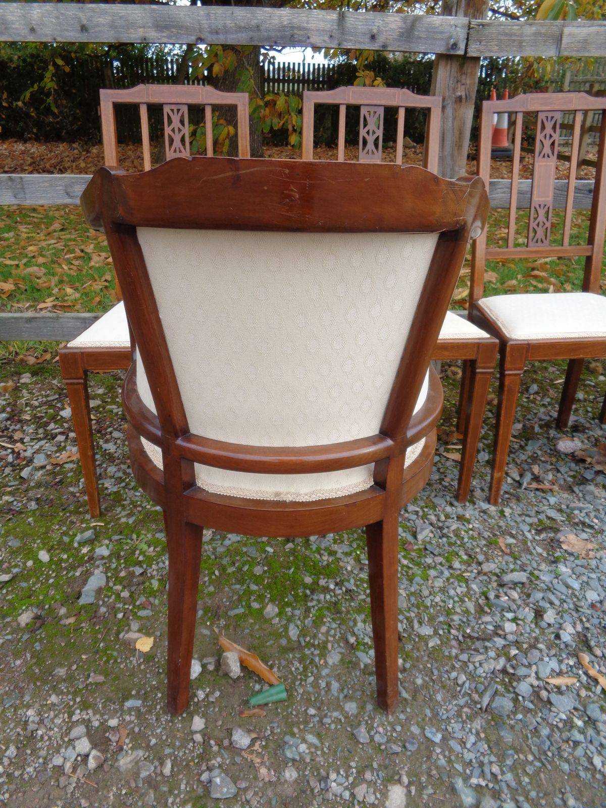 6 Edwardian Mahogany Salon Chairs   Gentleman's & Ladies + 4 photo vintage
