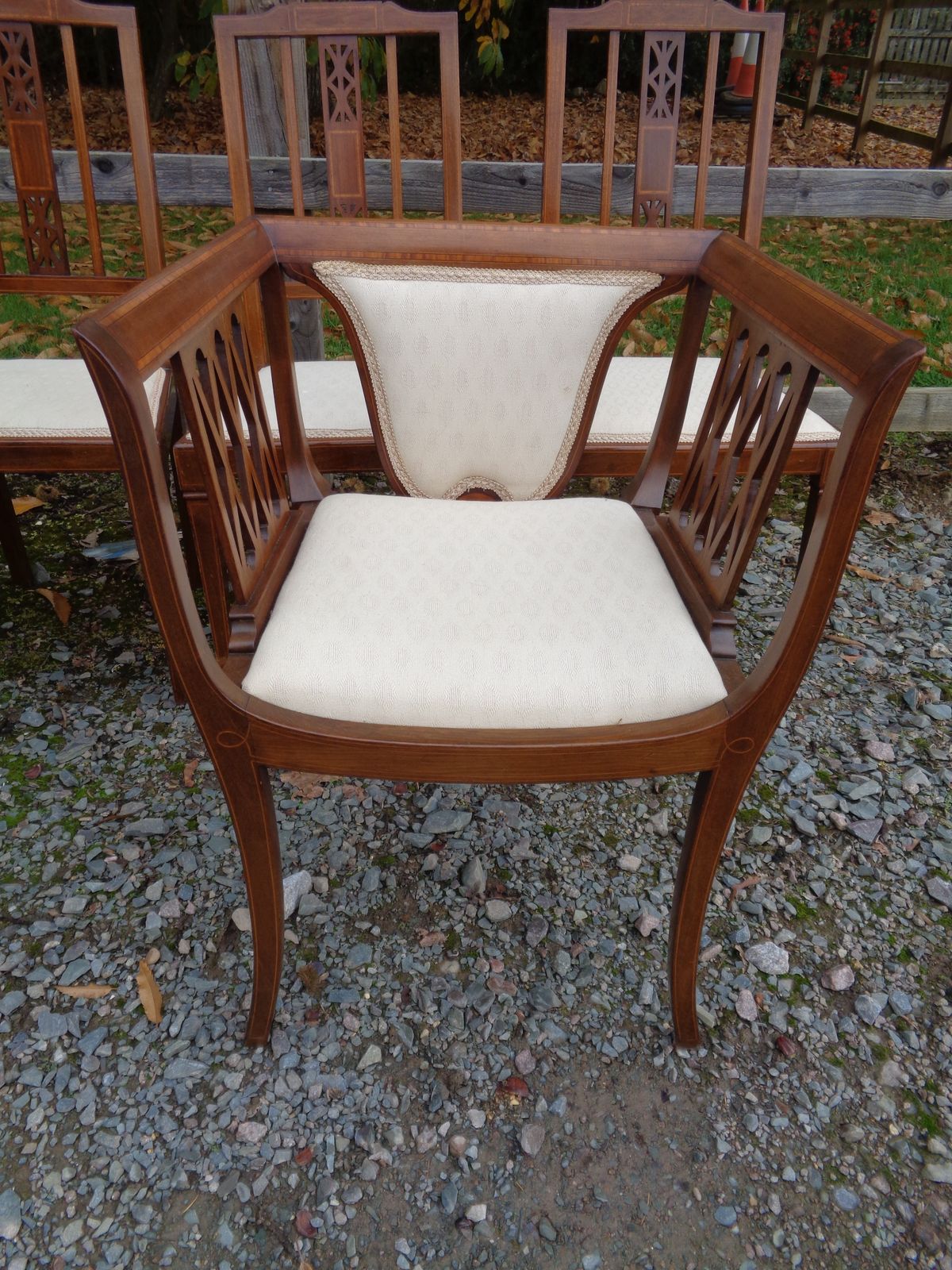 photo for sale 6 Edwardian Mahogany Salon Chairs   Gentleman's & Ladies + 4