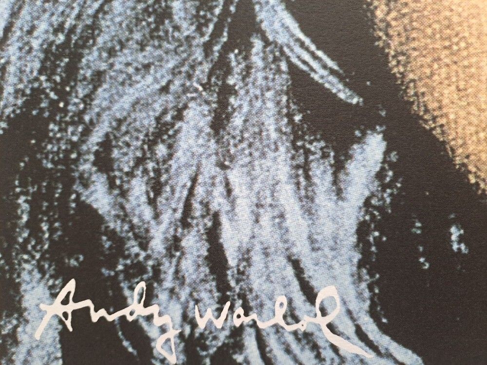 1980s Andy Warhol Signed Limited Edition Lithograph Debbie Harry photo for sale