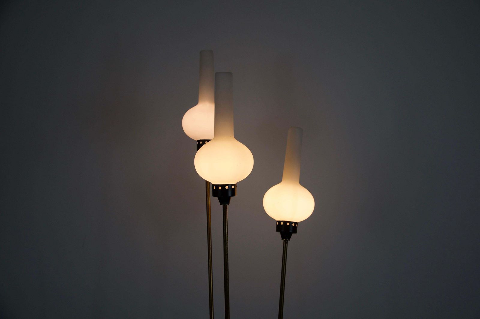 Brass And Opaline Glass Floor Lamp By Stilnovo, Italy, 1960s photo for sale