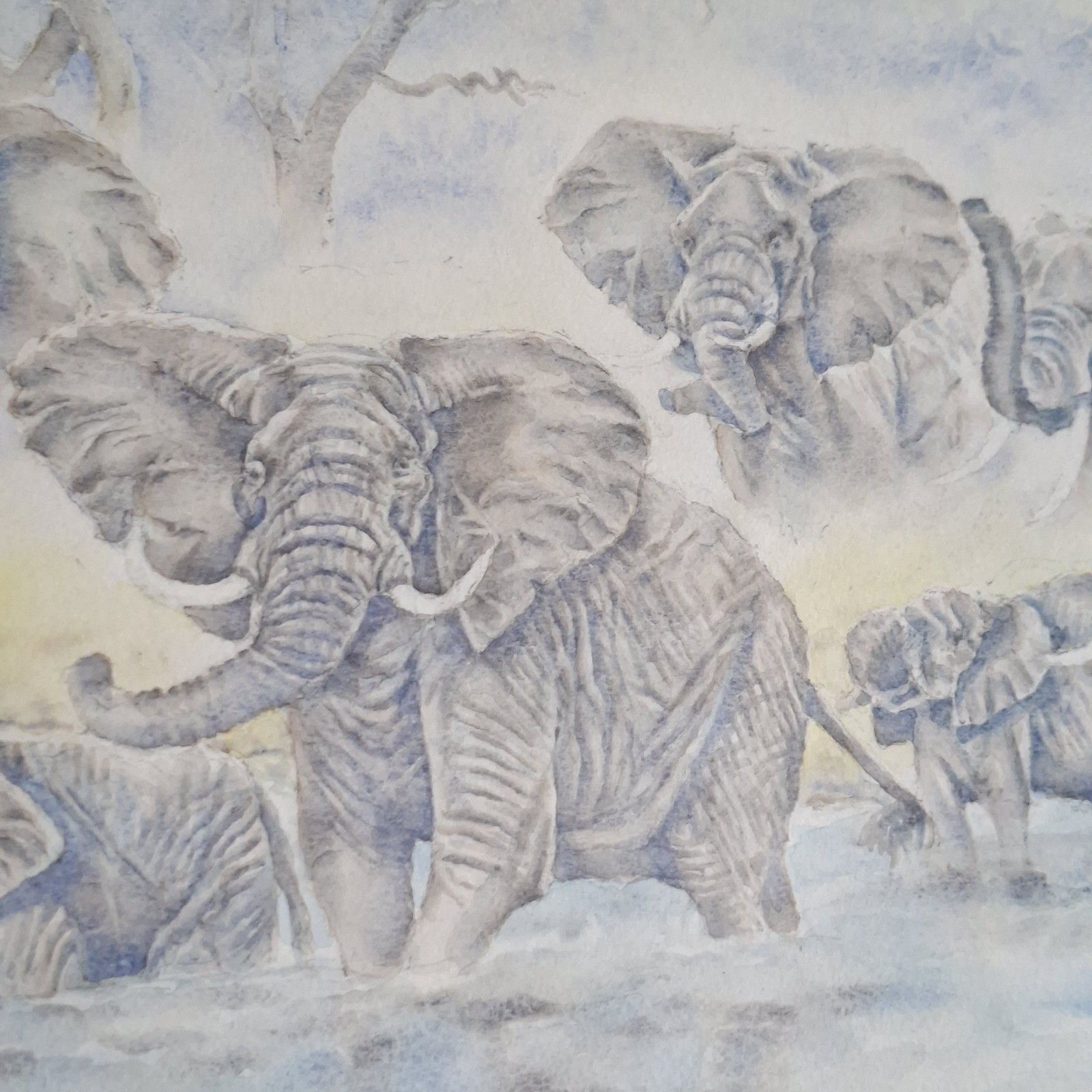 Large Original Watercolour Painting Progress Ncube African Elephant Contemporary photo for sale