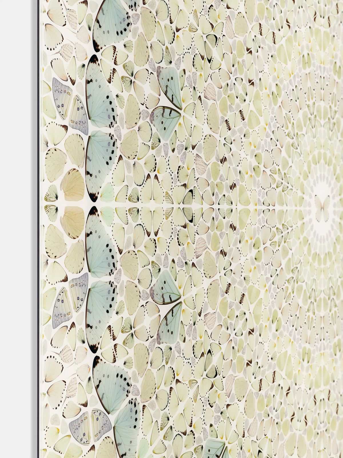 Damien Hirst Intricacy From The Kaleidoscopes, H18 5 photo furniture