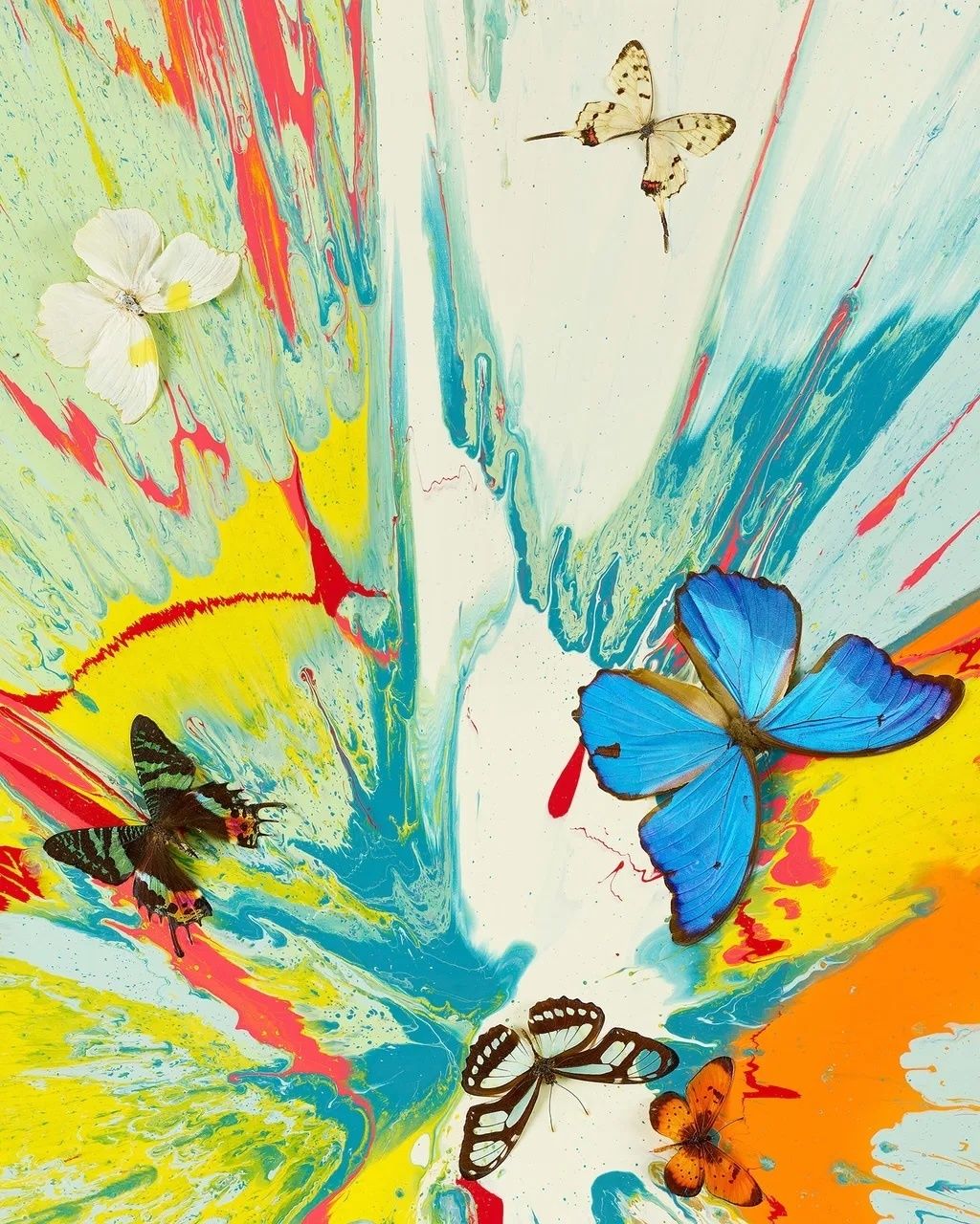 Damien Hirst Transient Ephemera From The Dreams H19 4 photo for sale
