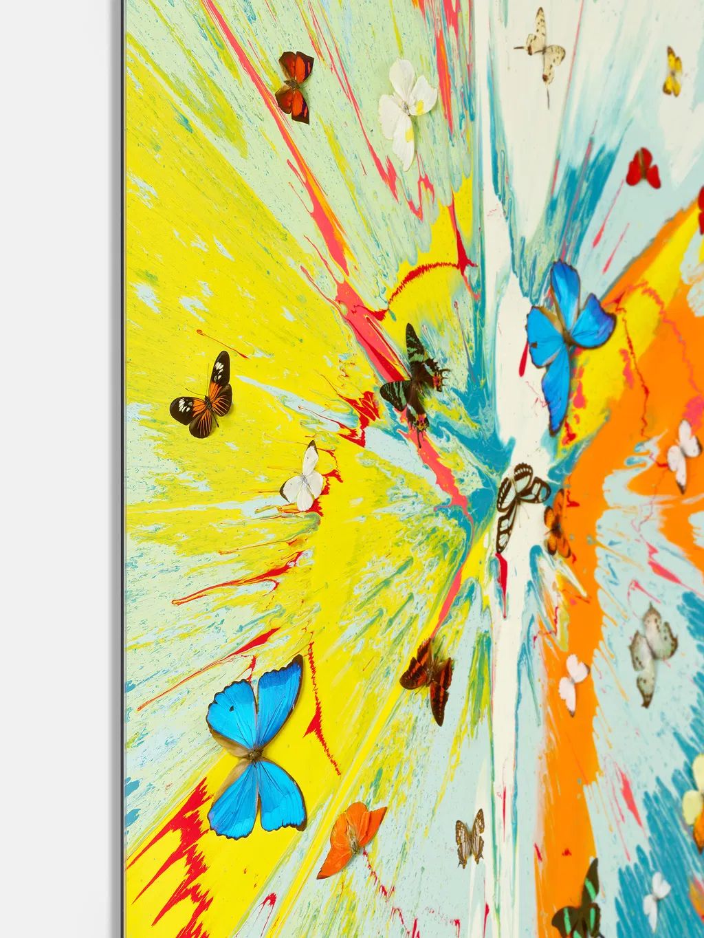 Damien Hirst Transient Ephemera From The Dreams H19 4 photo Art