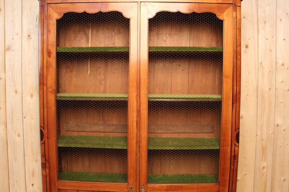 Antique Bookcase In Cherry Wood, 1800s photo 3141.0