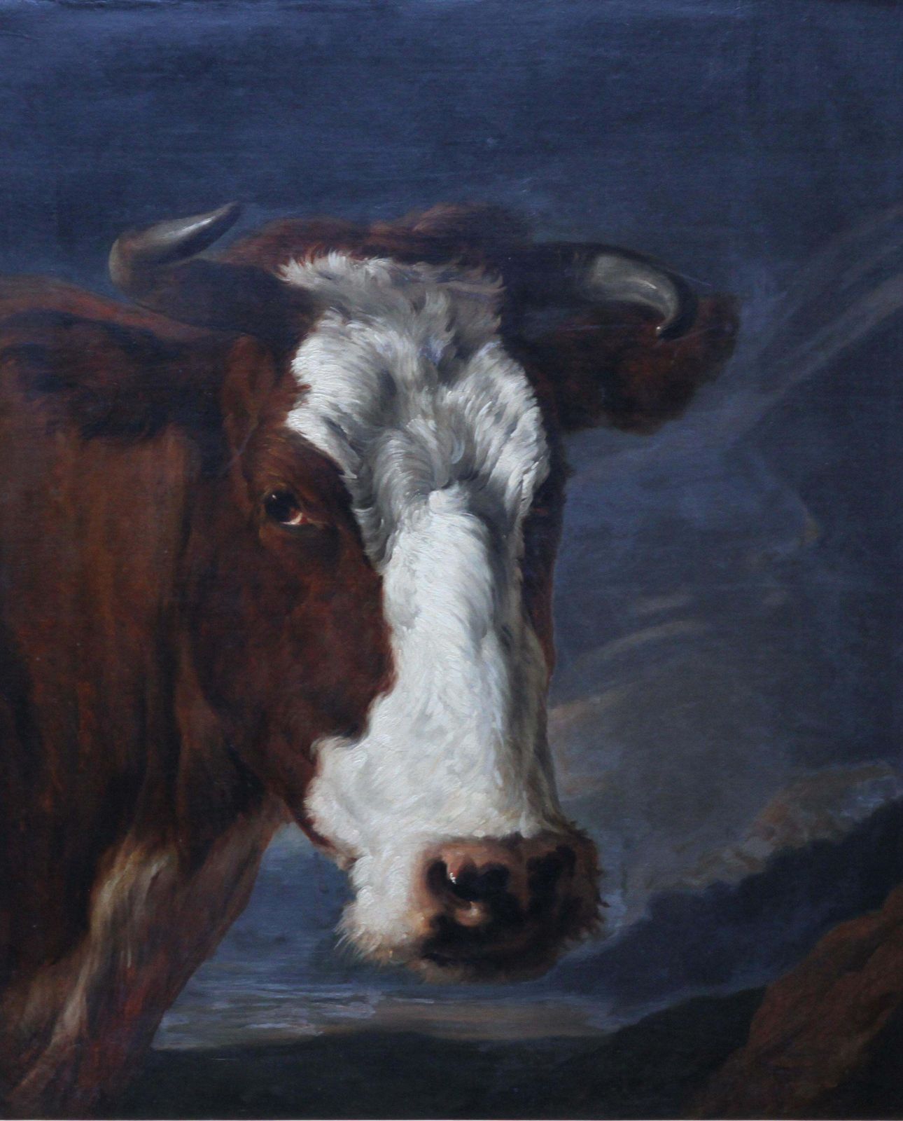 Portrait Of A Bull   Dutch Old Master Art Animal Portrait Oil Paintingcirca 1650 photo furniture