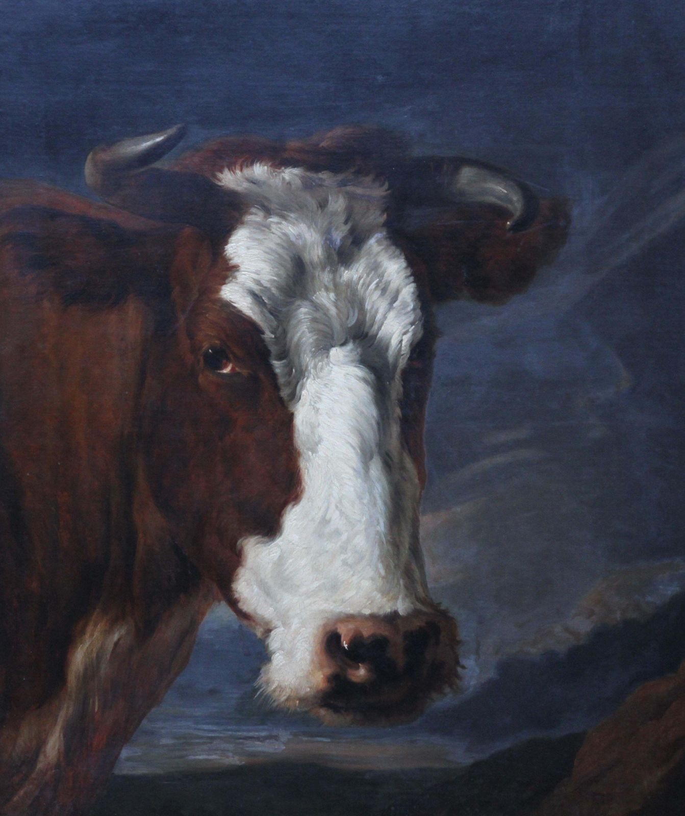 Portrait Of A Bull   Dutch Old Master Art Animal Portrait Oil Paintingcirca 1650 photo Art