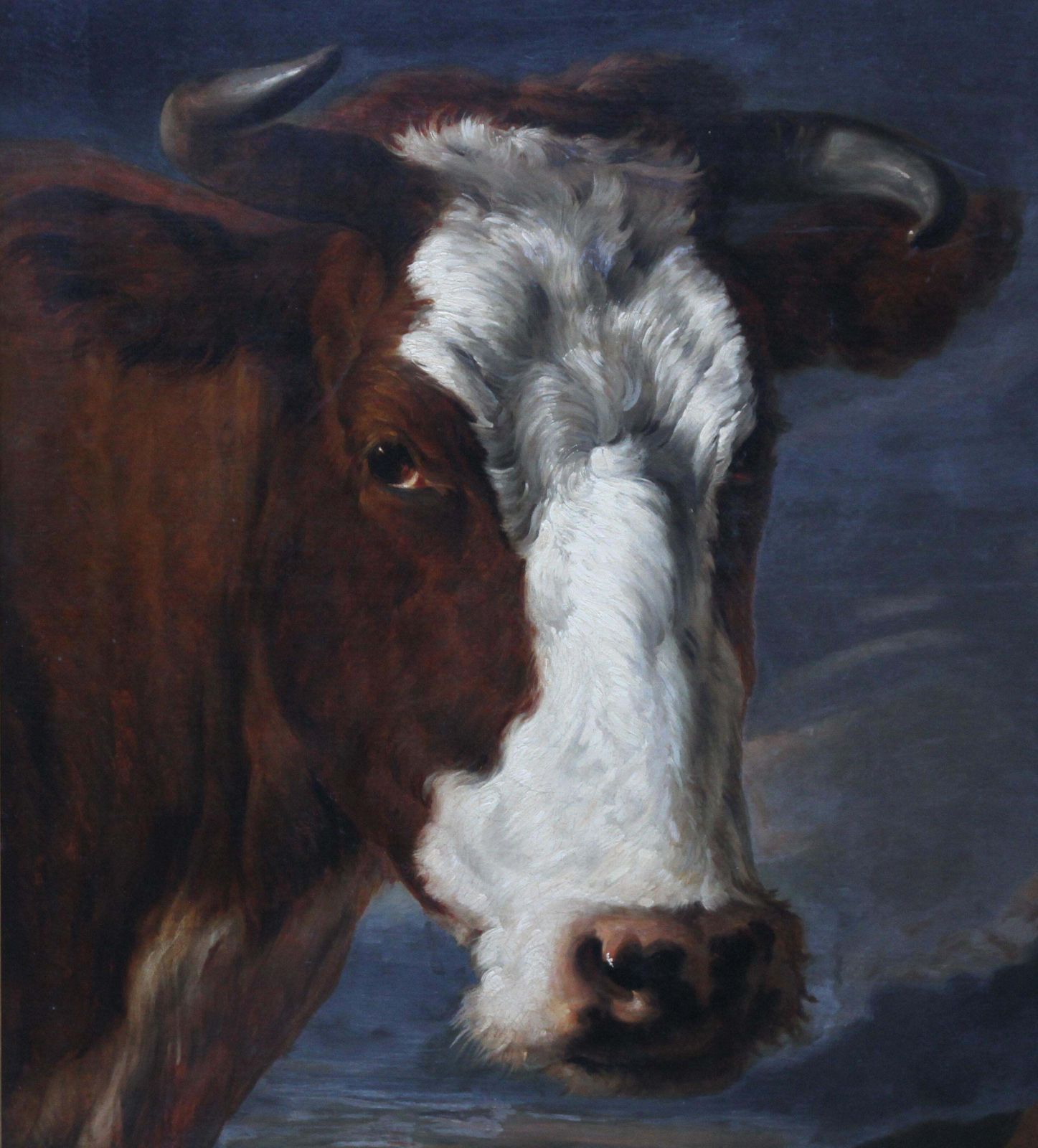 Portrait Of A Bull   Dutch Old Master Art Animal Portrait Oil Paintingcirca 1650 photo 24418.0