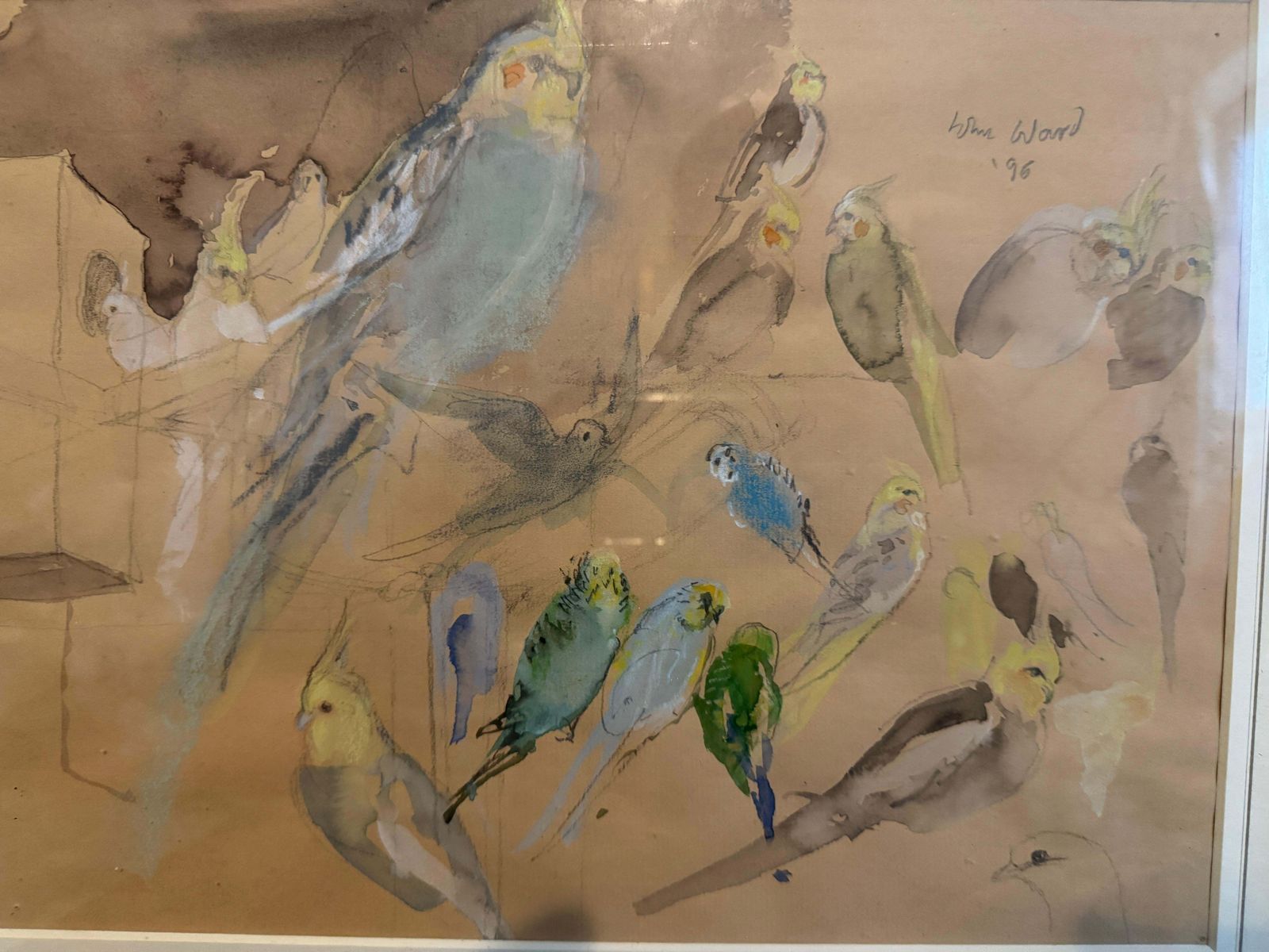 'Budgies And Cockatiels' By John Stanton Ward (1917   2007) photo furniture