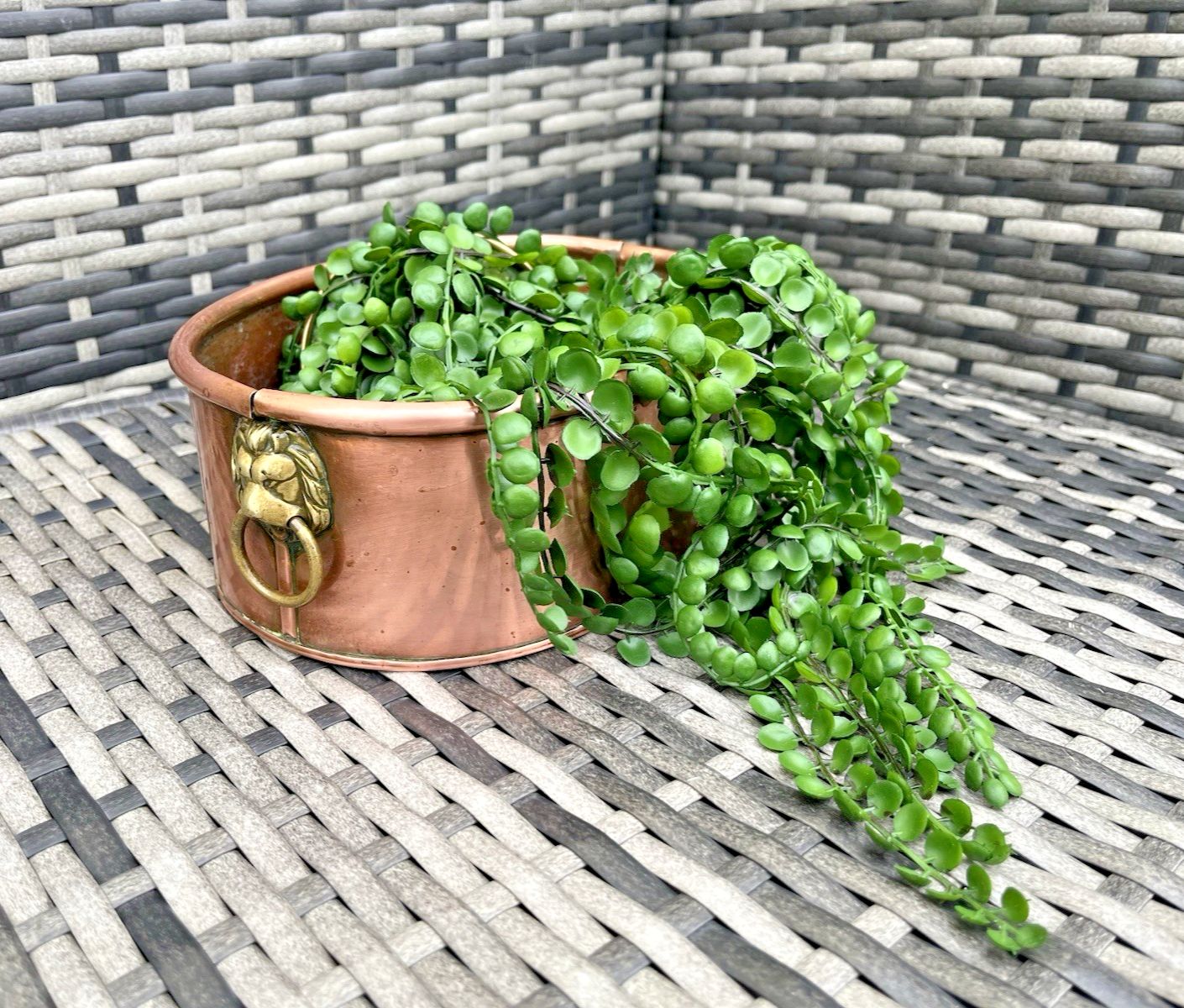 Antique Victorian Oval Copper Flower Trough Brass Lion Plant Pot Planter Vintage