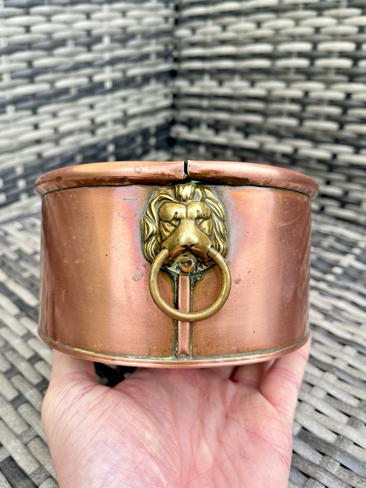 Garden Decor Antique Victorian Oval Copper Flower Trough Brass Lion Plant Pot Planter Vintage photo