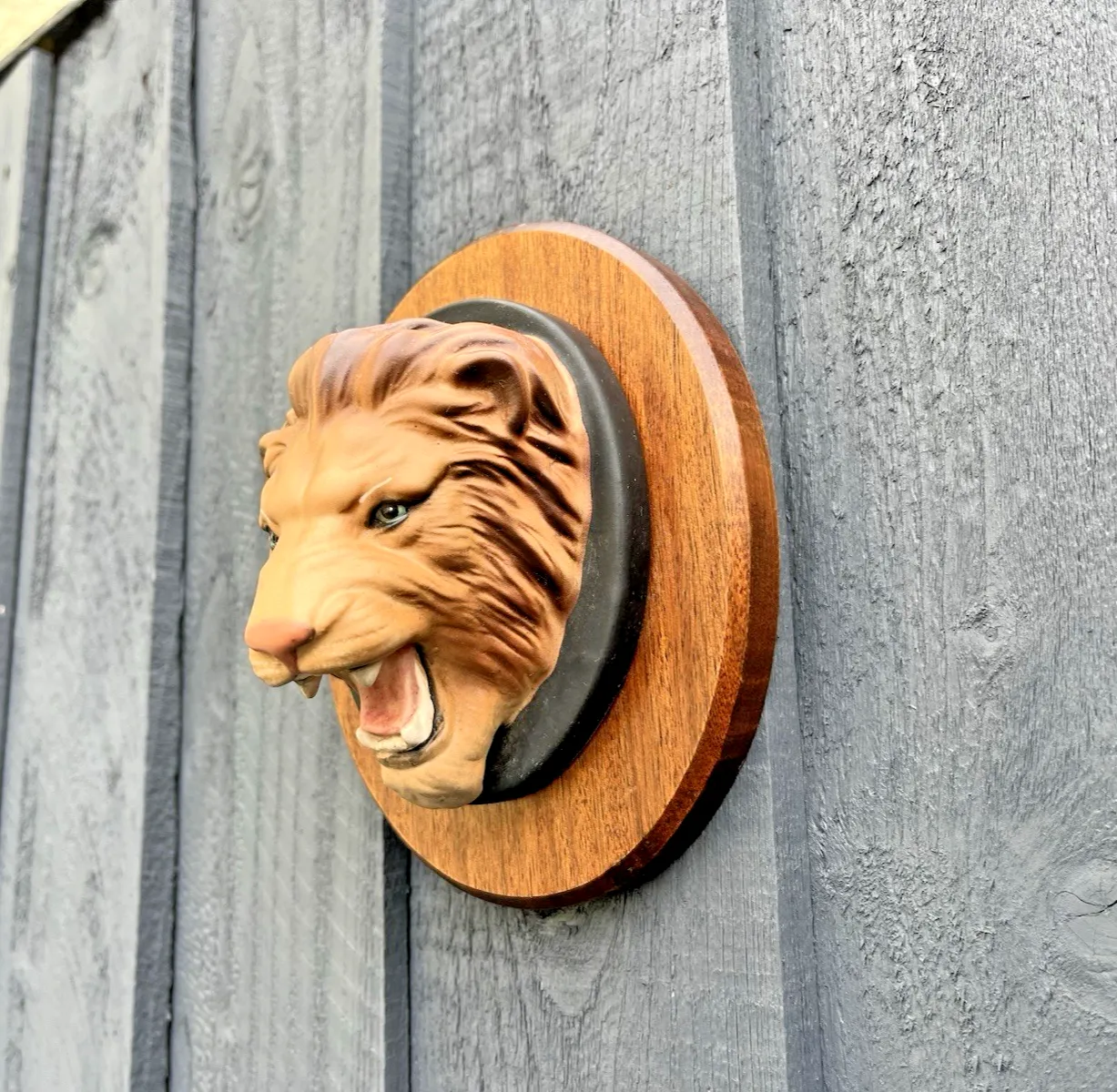 Rare Beswick Matt Lion Mask Head Wall Plaque Teak Mounted Wild Animals Series photo 55.0