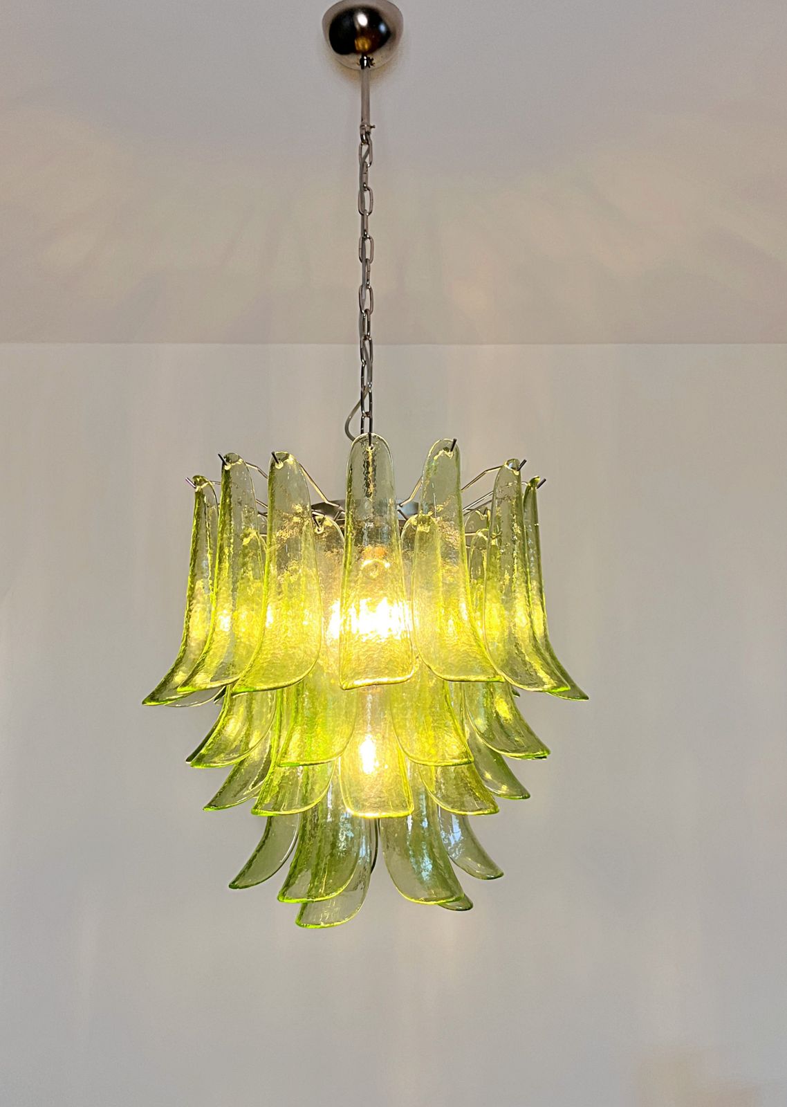 photo vintage Italian Vintage Murano Chandelier   Mazzega   41 Green Glass Petals