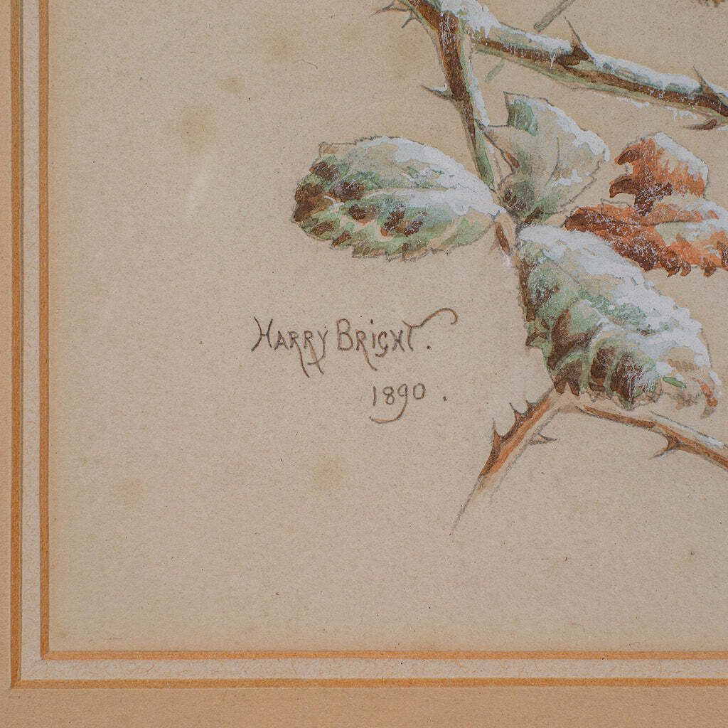 Antique Watercolour Finch Painting, English School, Art, Harry Bright, Victorian photo vintage