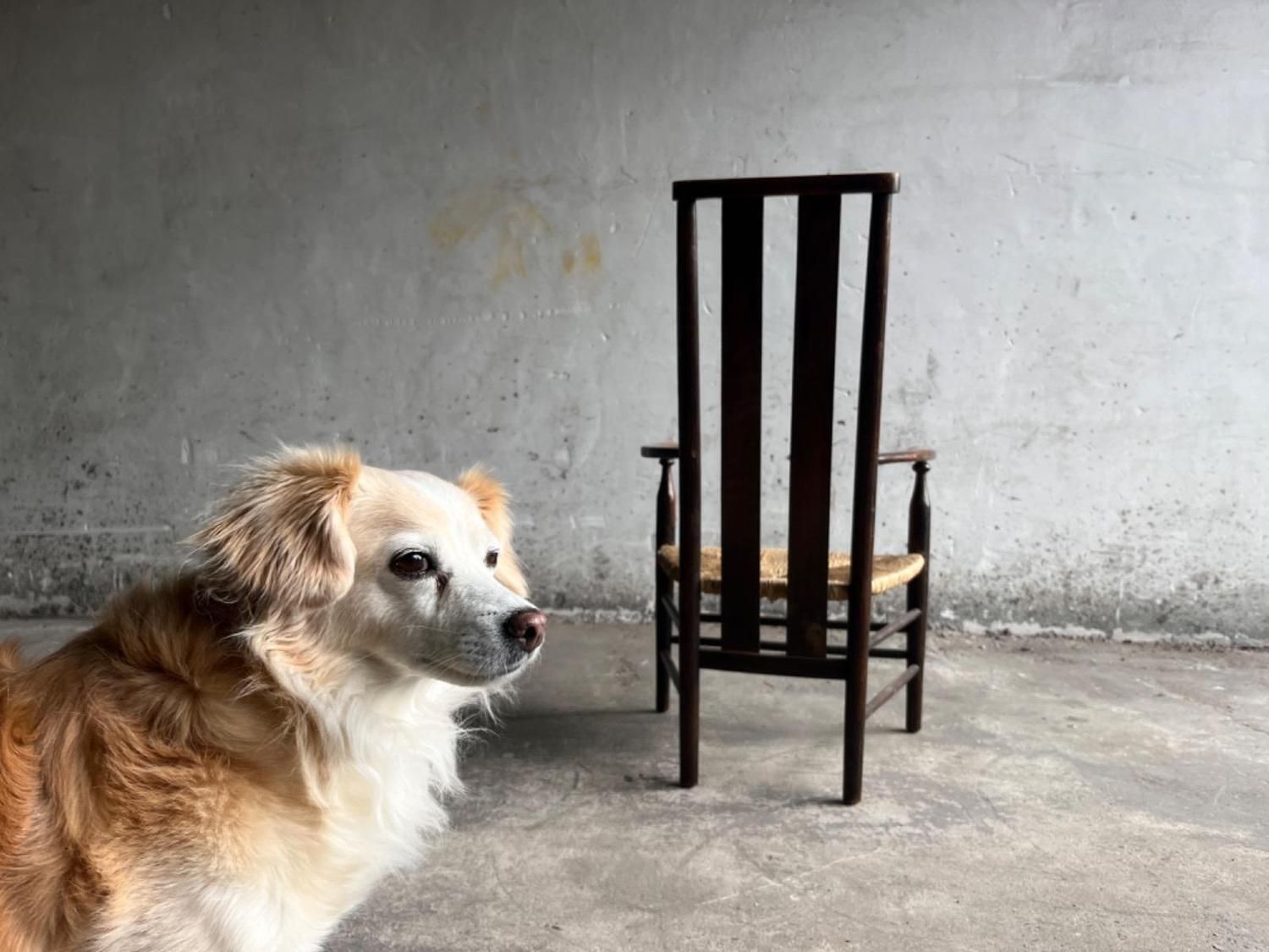 Vintage Arts And Crafts Chair With Rush Seat photo vinterior