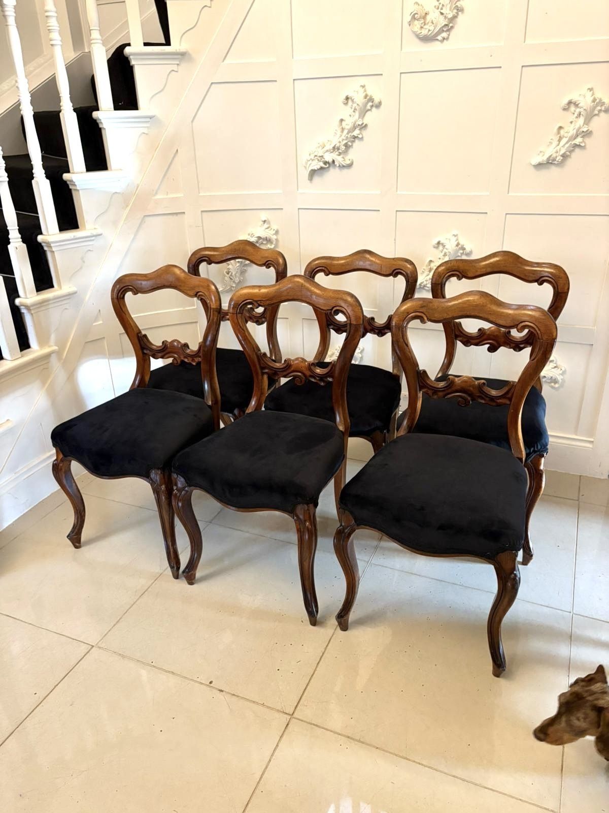 Furniture Antique Set Of Six Quality 19th Century Rosewood Balloon Back Dining Chairs photo