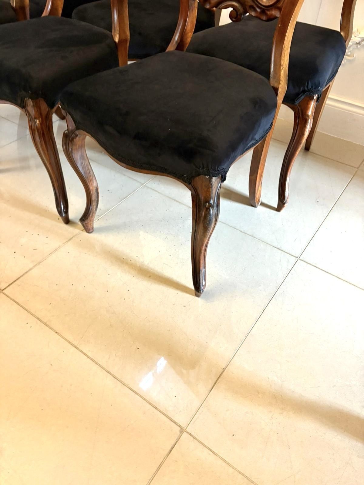 photo vinterior Antique Set Of Six Quality 19th Century Rosewood Balloon Back Dining Chairs