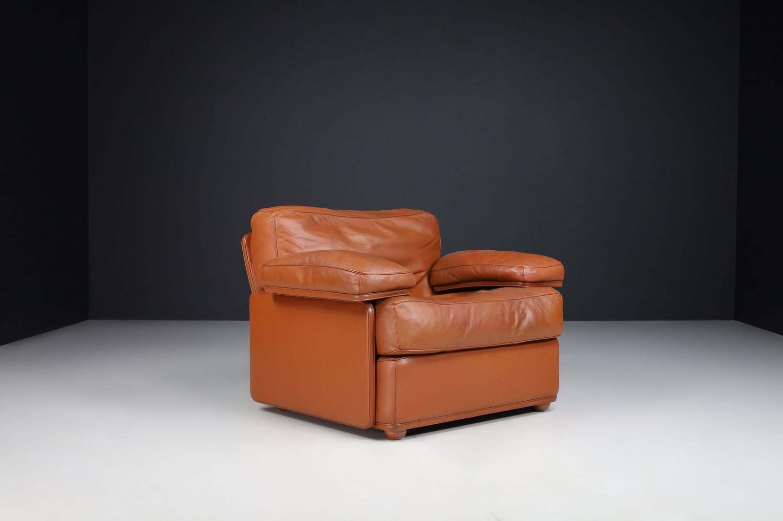 Tito Agnoli For Poltrona Frau Leather Lounge Chairs By, Italy 1970s photo vintage