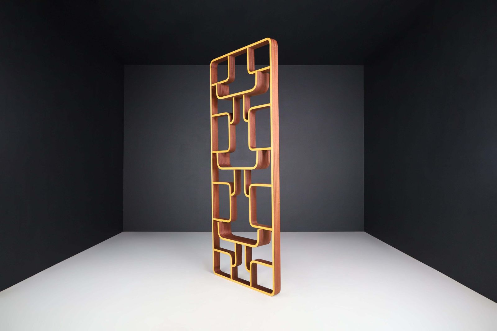 Mid 20th Century Room Dividers In Bent Wood By Ludvik Volak, Praque, 1960s photo 1861.0