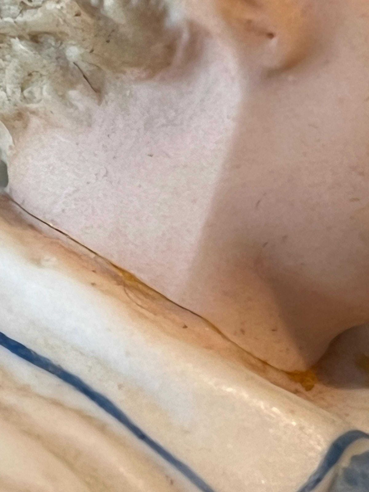 photo for sale Bisque Porcelain Figurine Of Boy Cricketer C1850