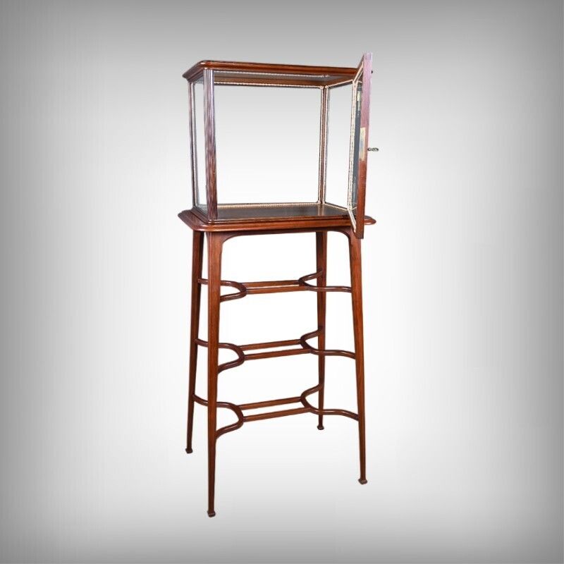 Mahogany Display Case, Art Nouveau – 1900 photo furniture