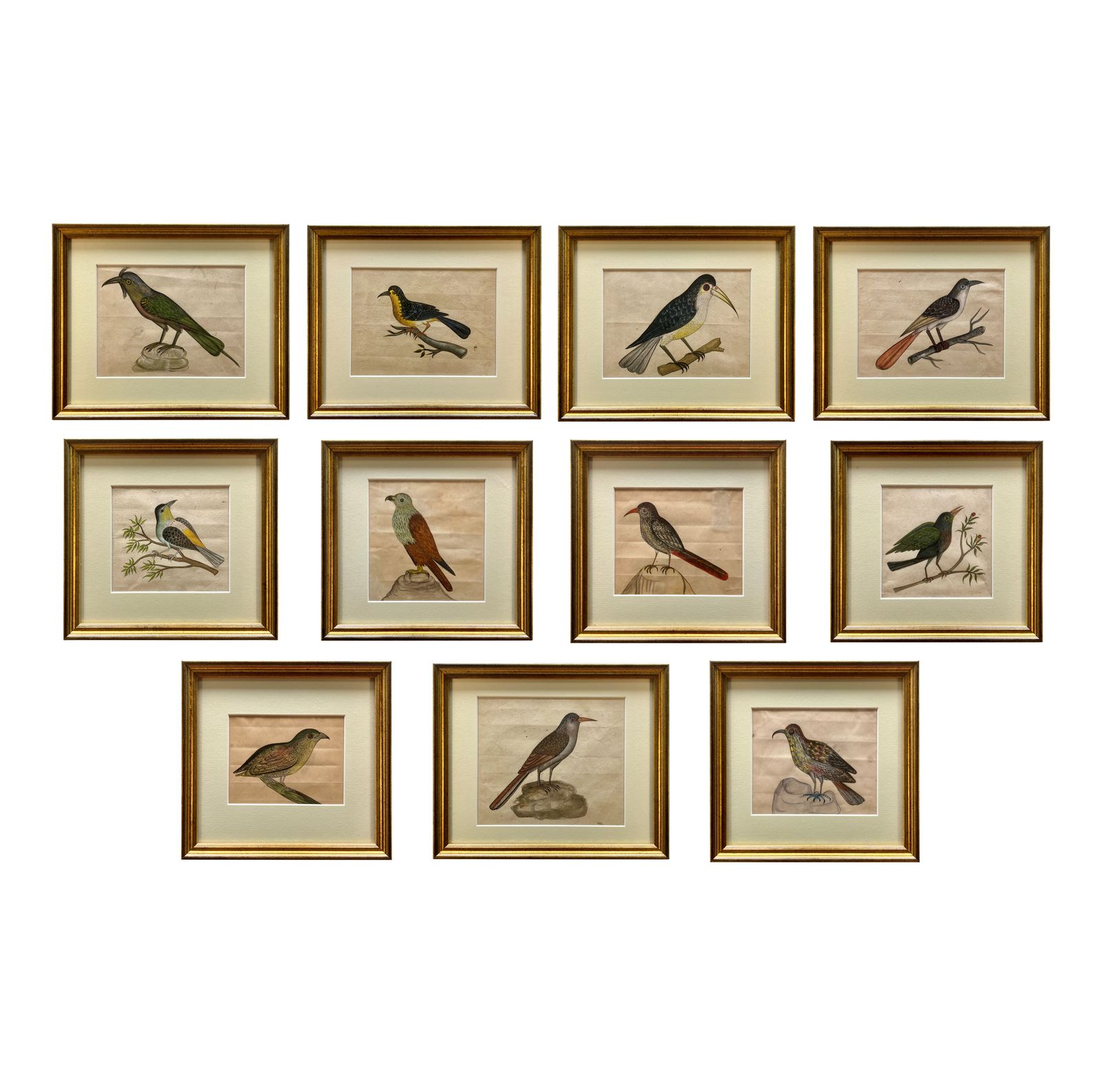 A Collection Of Eleven Early XIX Century Watercolours Of Indian Birds