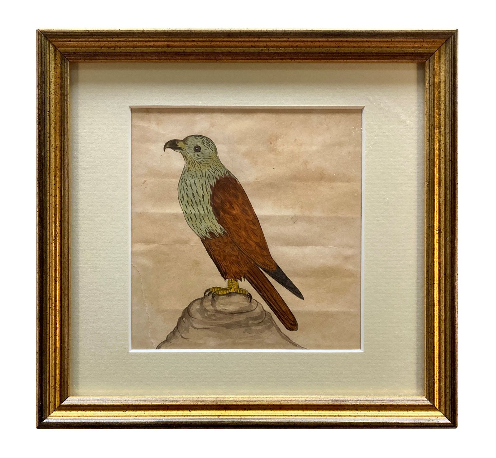 A Collection Of Eleven Early XIX Century Watercolours Of Indian Birds photo furniture
