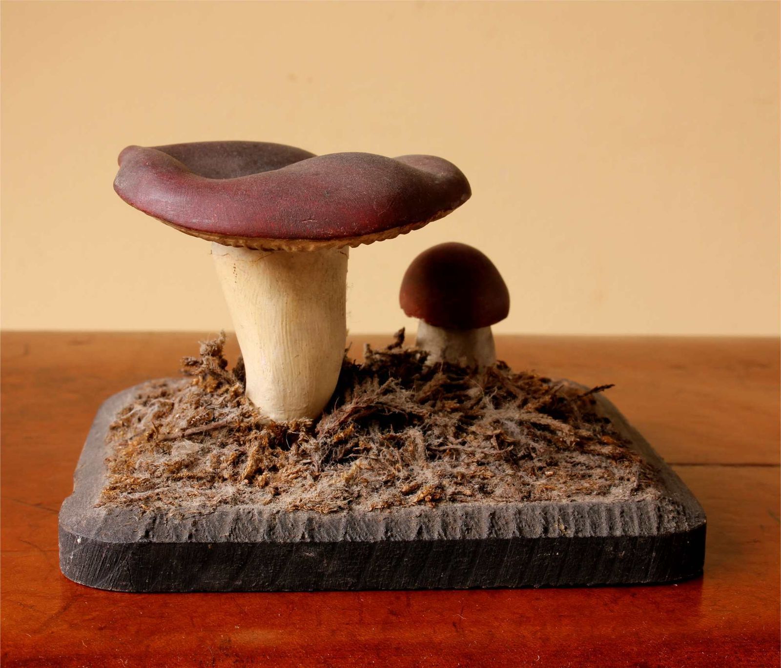 Antique Mushroom Model Teaching Aid. Holubinka Revovita. Collectible. photo 365.0