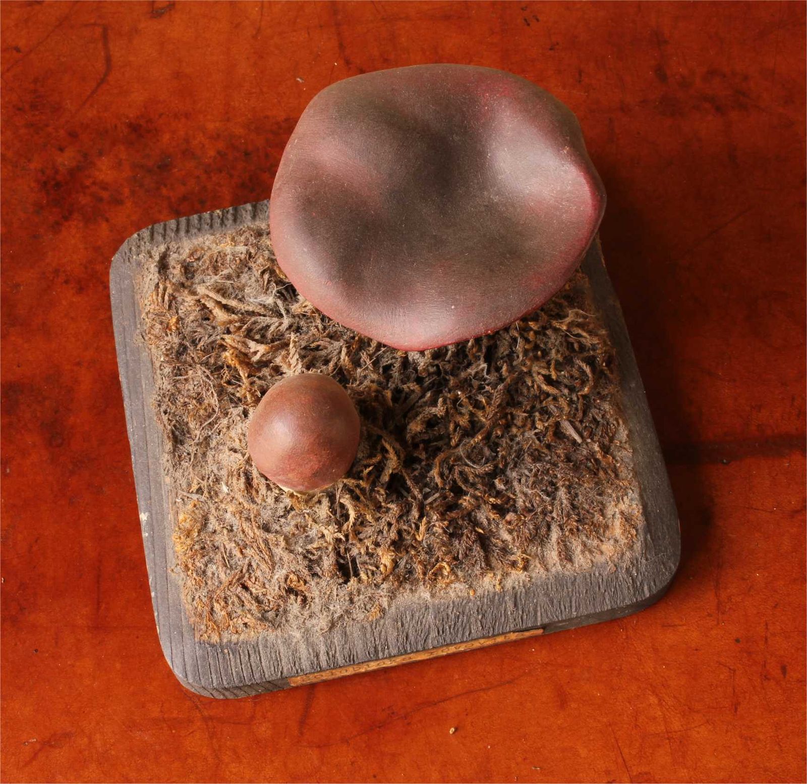 Antique Mushroom Model Teaching Aid. Holubinka Revovita. Collectible. photo vintage