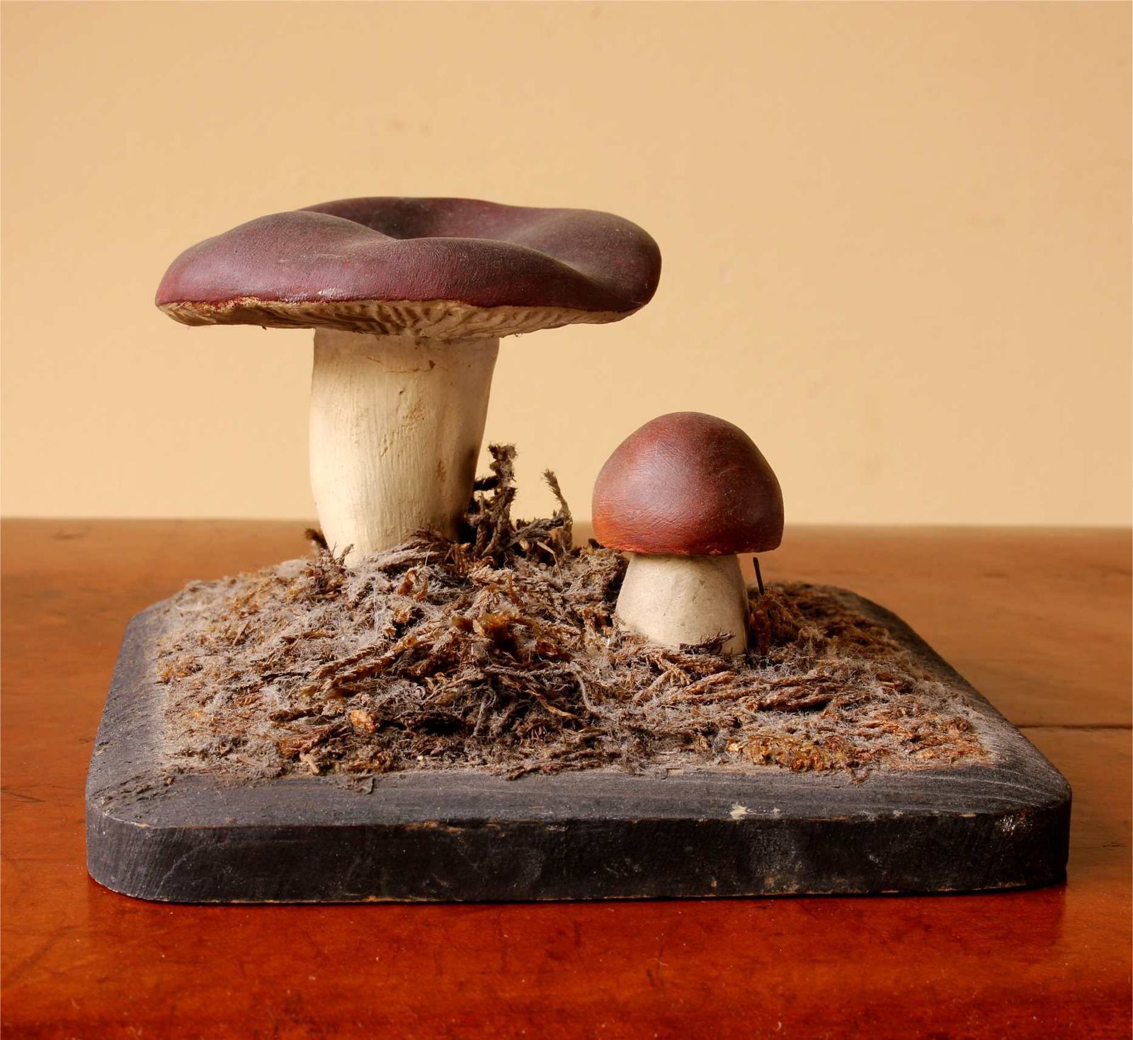 photo furniture Antique Mushroom Model Teaching Aid. Holubinka Revovita. Collectible.