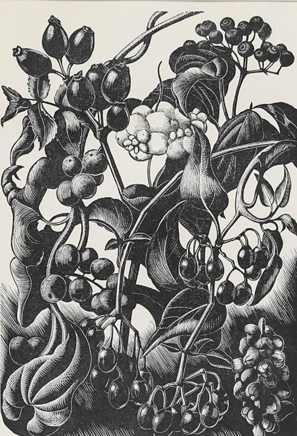 Clare Leighton (1898 1989) Mid 20th Century Woodcut, Berries photo furniture