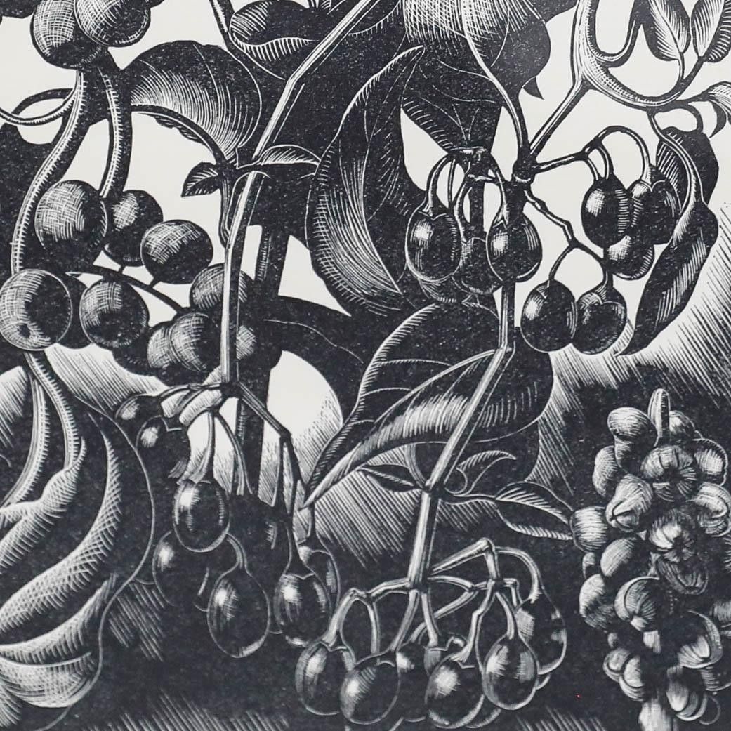 Clare Leighton (1898 1989) Mid 20th Century Woodcut, Berries photo Art