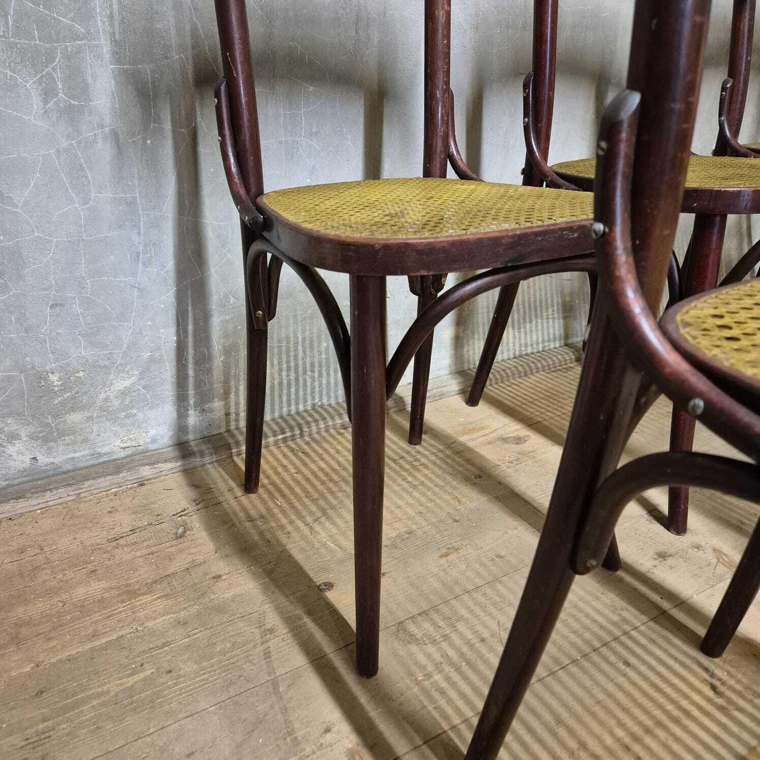 Set Of 6 Dining Chairs, Thonet Style, 1960s, Czechoslovakia photo Furniture