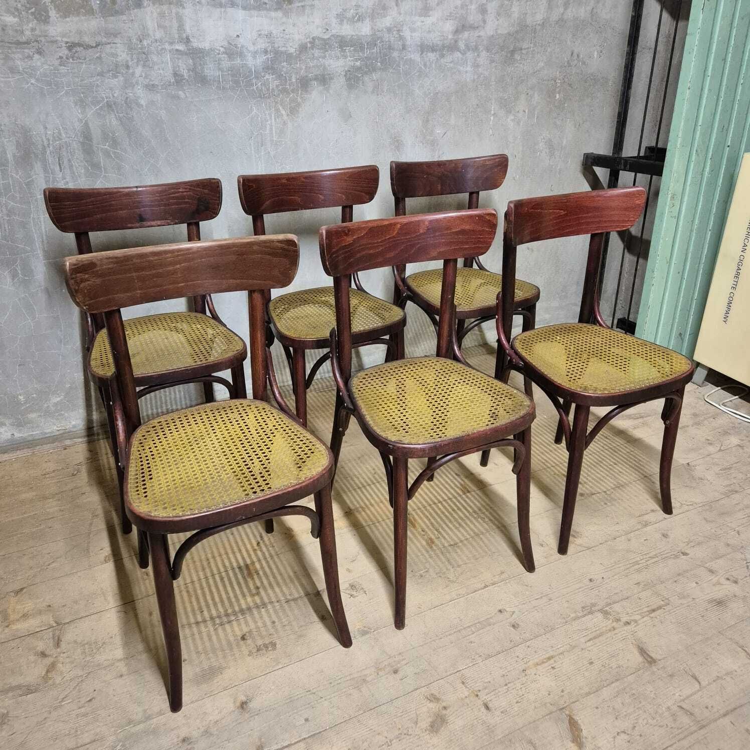 Set Of 6 Dining Chairs, Thonet Style, 1960s, Czechoslovakia photo vintage