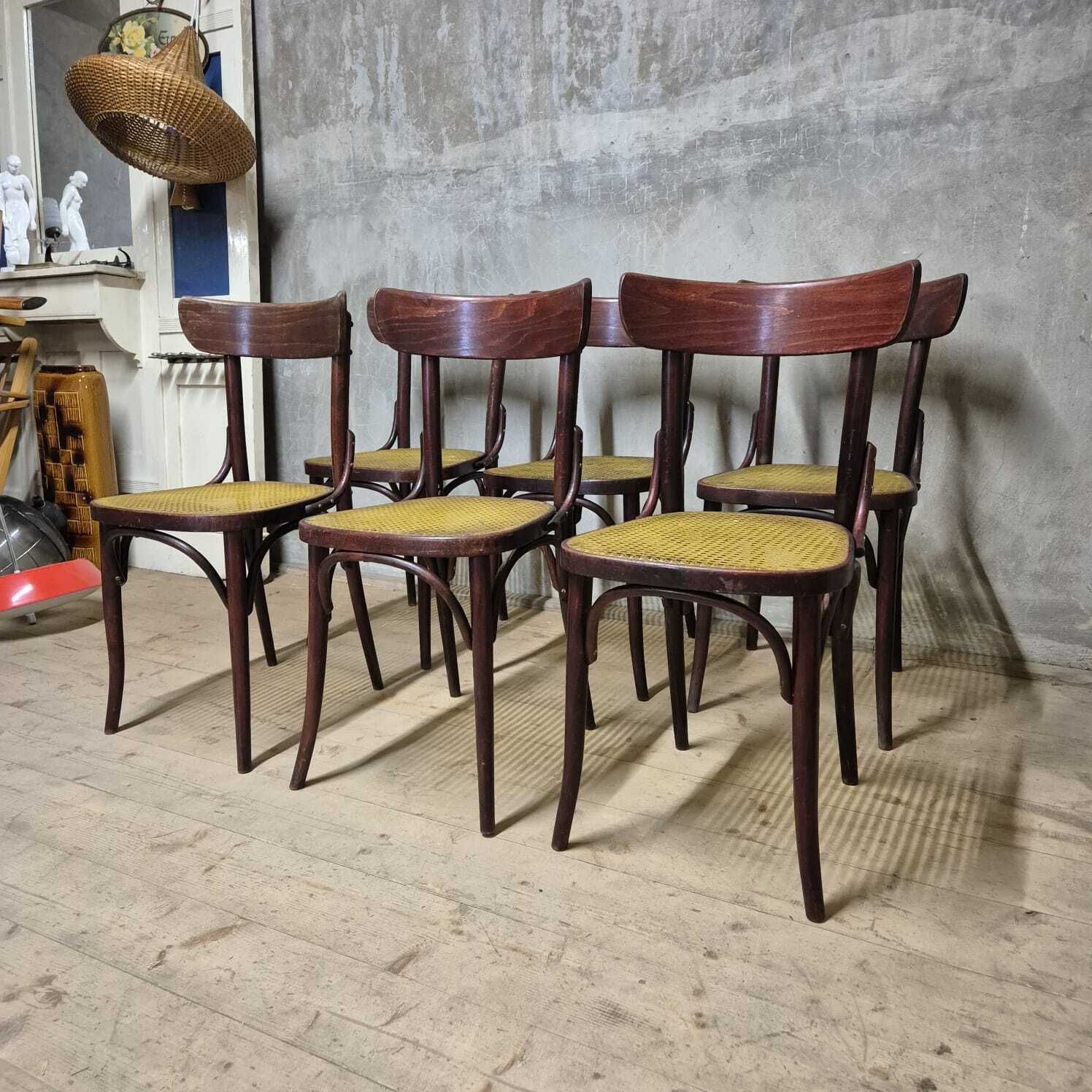 photo furniture Set Of 6 Dining Chairs, Thonet Style, 1960s, Czechoslovakia
