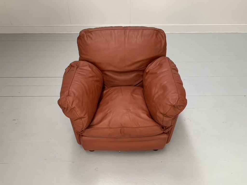 Poltrona Frau “Poppy” 2 Seat Sofa & Armchair – In Buffalo Leather photo for sale
