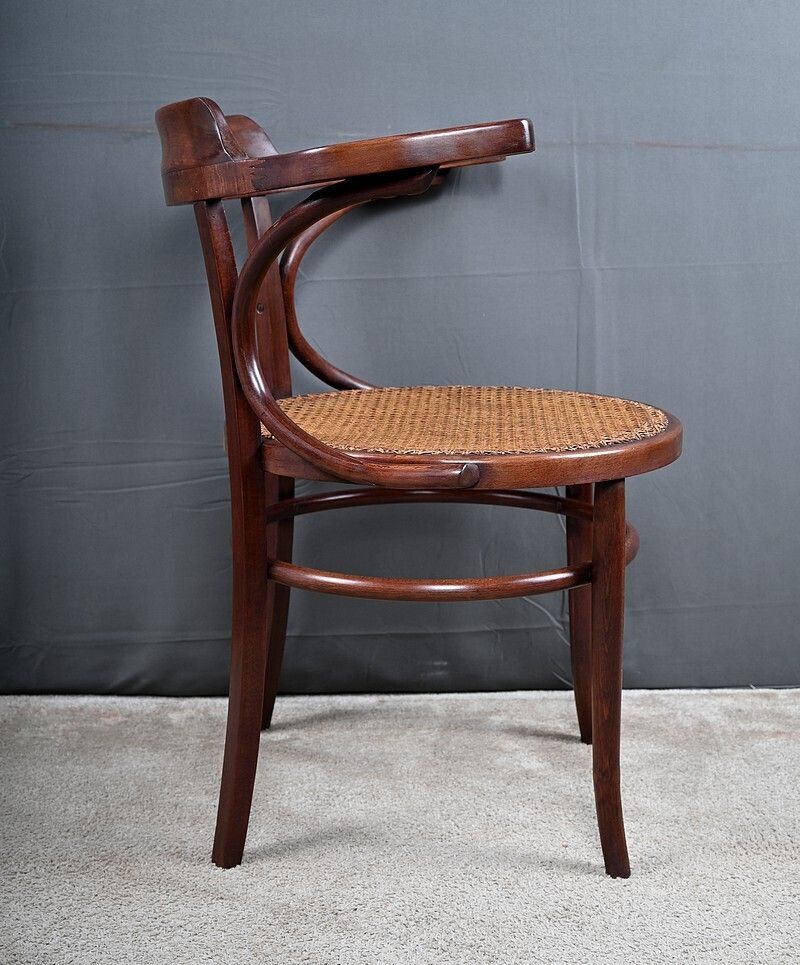 Furniture Armchair In Bent Beechwood, Maison Baumann – Early 20th Century photo